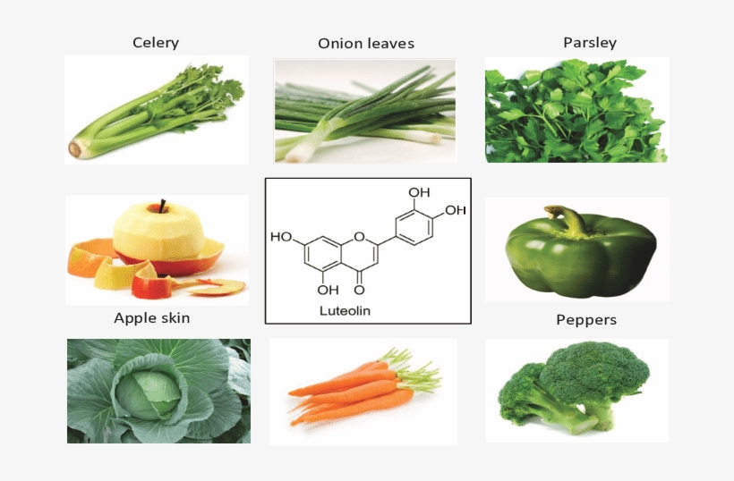 Vegetables And Fruits Such As Celery, Parsley, Broccoli - Luteolin, transparent png download