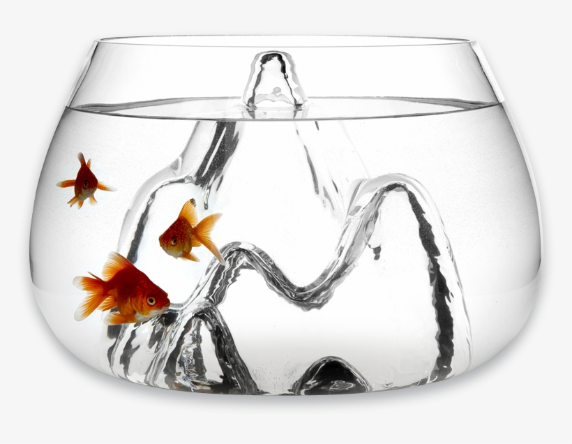 Fishscape Fishbowl By Aruliden For Gaia And Gino-0 - Aruliden Glasscape Glass Fish Bowl Small, transparent png download
