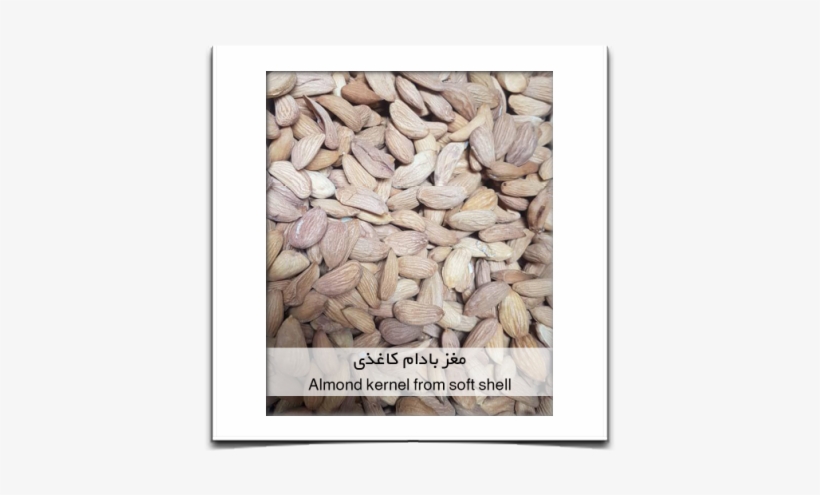 محصولات / Products - Malt, transparent png download