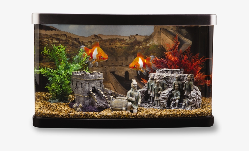 Asian - Asian Themed Fish Tanks, transparent png download