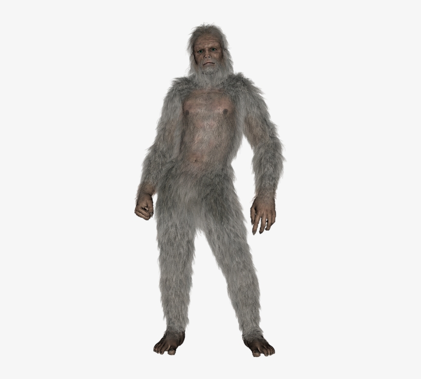 Sasquatch, Bigfoot, Creature, Monster, Hairy, Beast - Hairy Beast, transparent png download