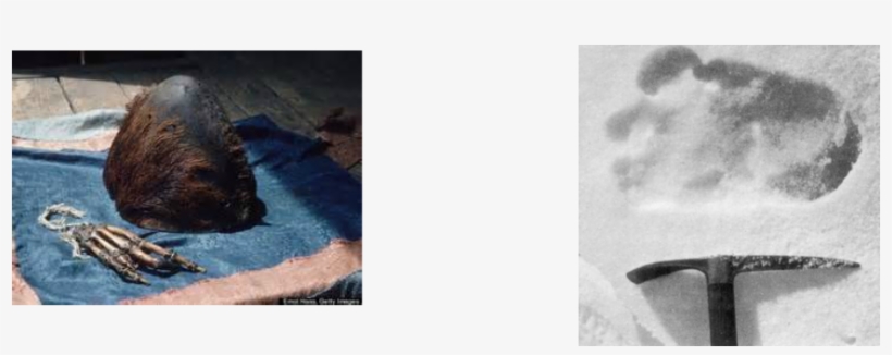 Picture - Yeti Footprint, transparent png download