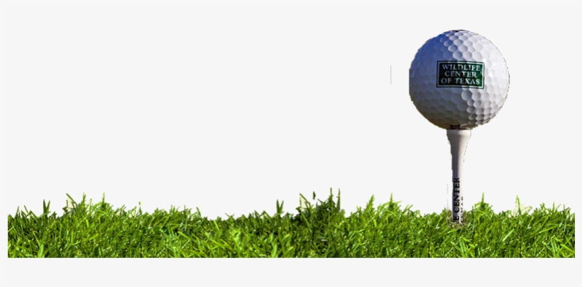 Golf Ball And Tee Png - Golf Ball And Grass Png, transparent png download