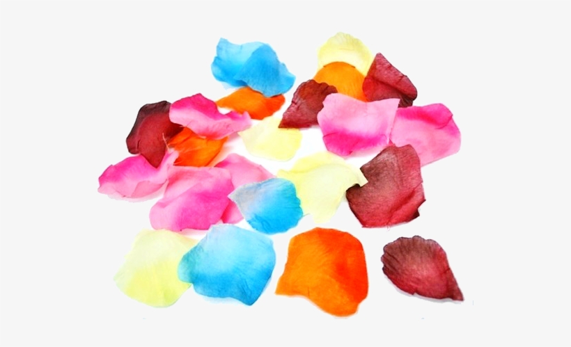 300 Flower Petals - Watercolor Paint, transparent png download