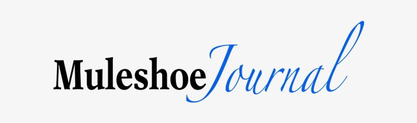Express Yourself Through The Eyes Of Love: Journal, transparent png download