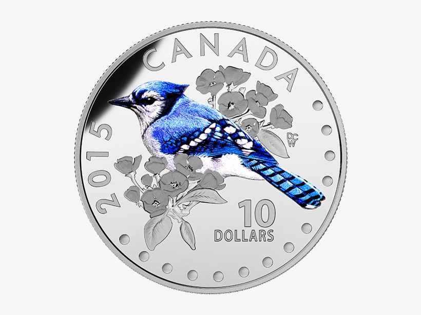 Fine Silver Coloured Coin Colourful Songbirds Of Canada - Blue Jays Silver Coin, transparent png download