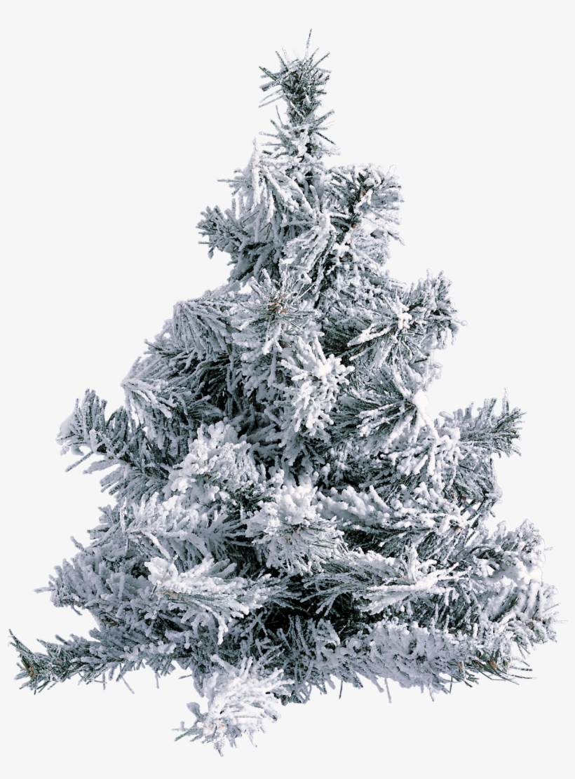 Gifs De Arboles De Navidad Png, transparent png download