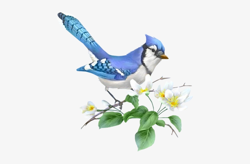 Klik For At Se I Normal Størrelse - Cross Stitch Blue Jay, transparent png download