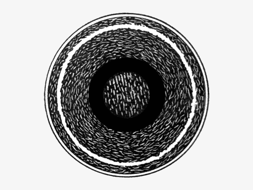 Early Cork Center Baseball Schematic From Evolution - Jim Henson's Creature Shop, transparent png download