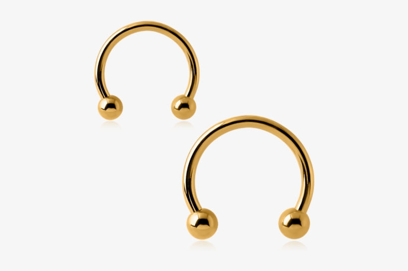 Gold Plated Horse Shoe - Earrings, transparent png download