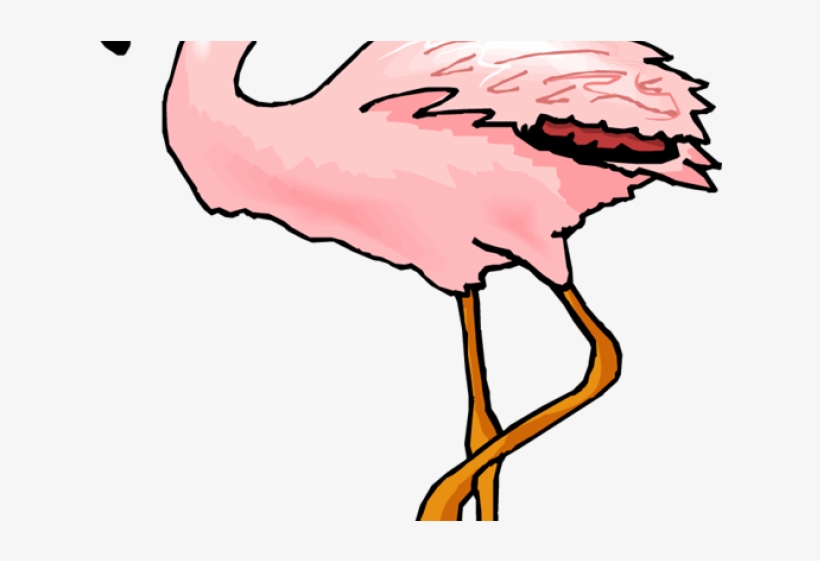 Flamingo Clipart Coral - Plameňák Png, transparent png download