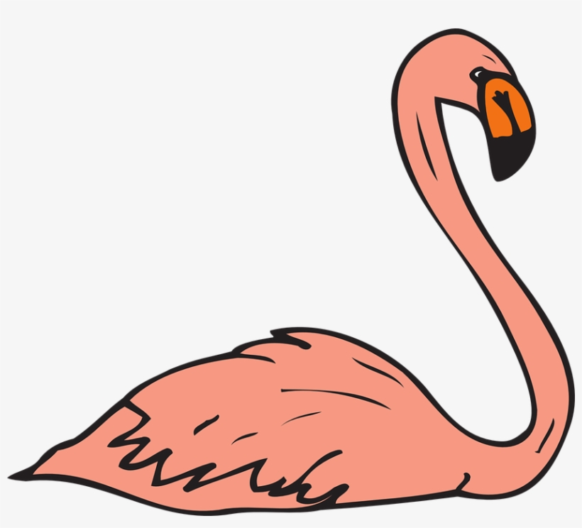Wings X Dumielauxepices Net - Flamingo Swimming Clipart, transparent png download