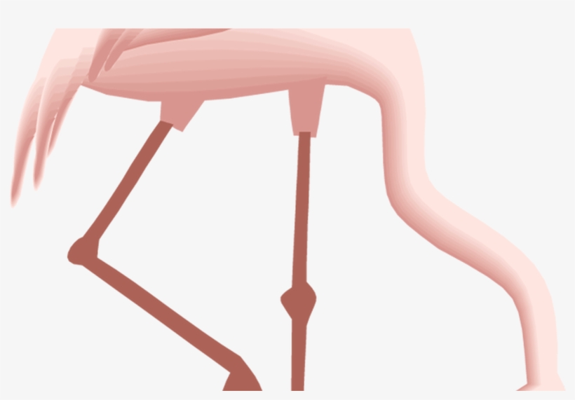 Free Flamingo Clipart - Flamingo #11 Quadratisches Silberfarbenes Ornament, transparent png download