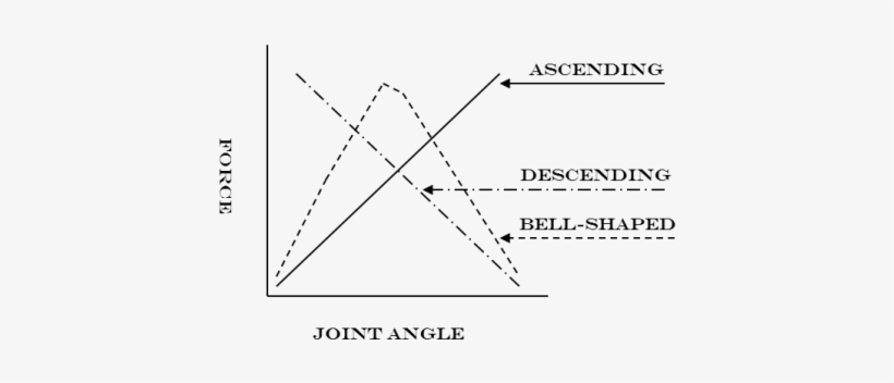 Ascending, Descending, And Bell-curve Are The Three - Bench Press Strength Curve, transparent png download