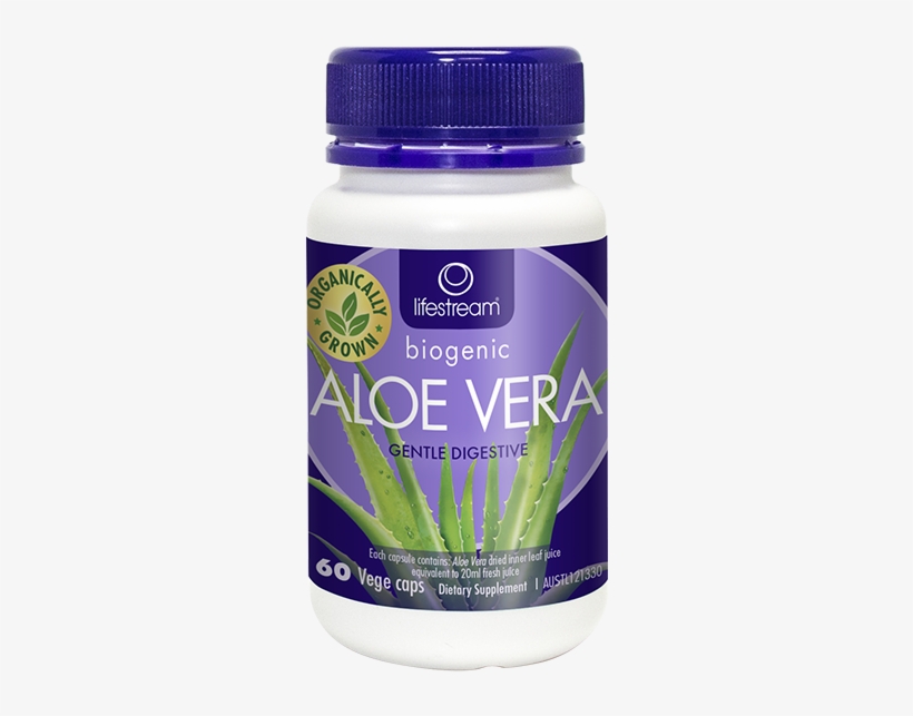 Aloe Vera C60 - Aloe Vera, transparent png download