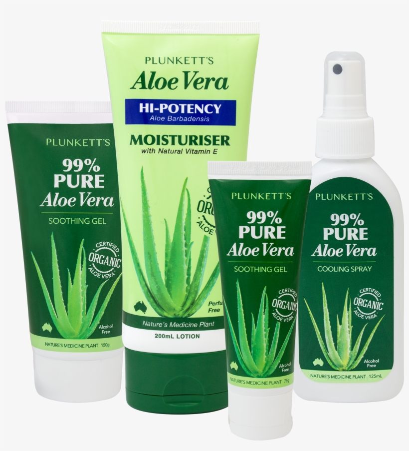 So How Do You Choose A Pure Aloe Vera - Cosmetics, transparent png download