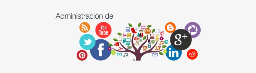 Administración De Redes Sociales - Administracion De Redes Sociales Png, transparent png download
