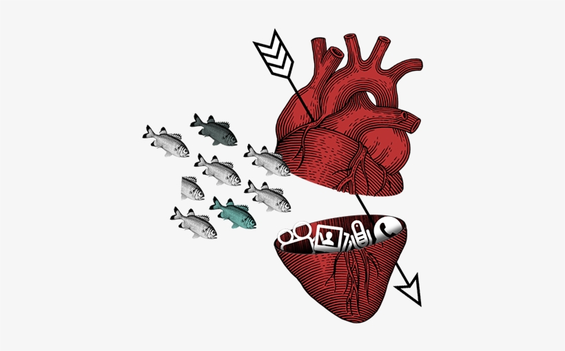 Gestión De Redes Sociales Coruña Coruña - Illustration, transparent png download