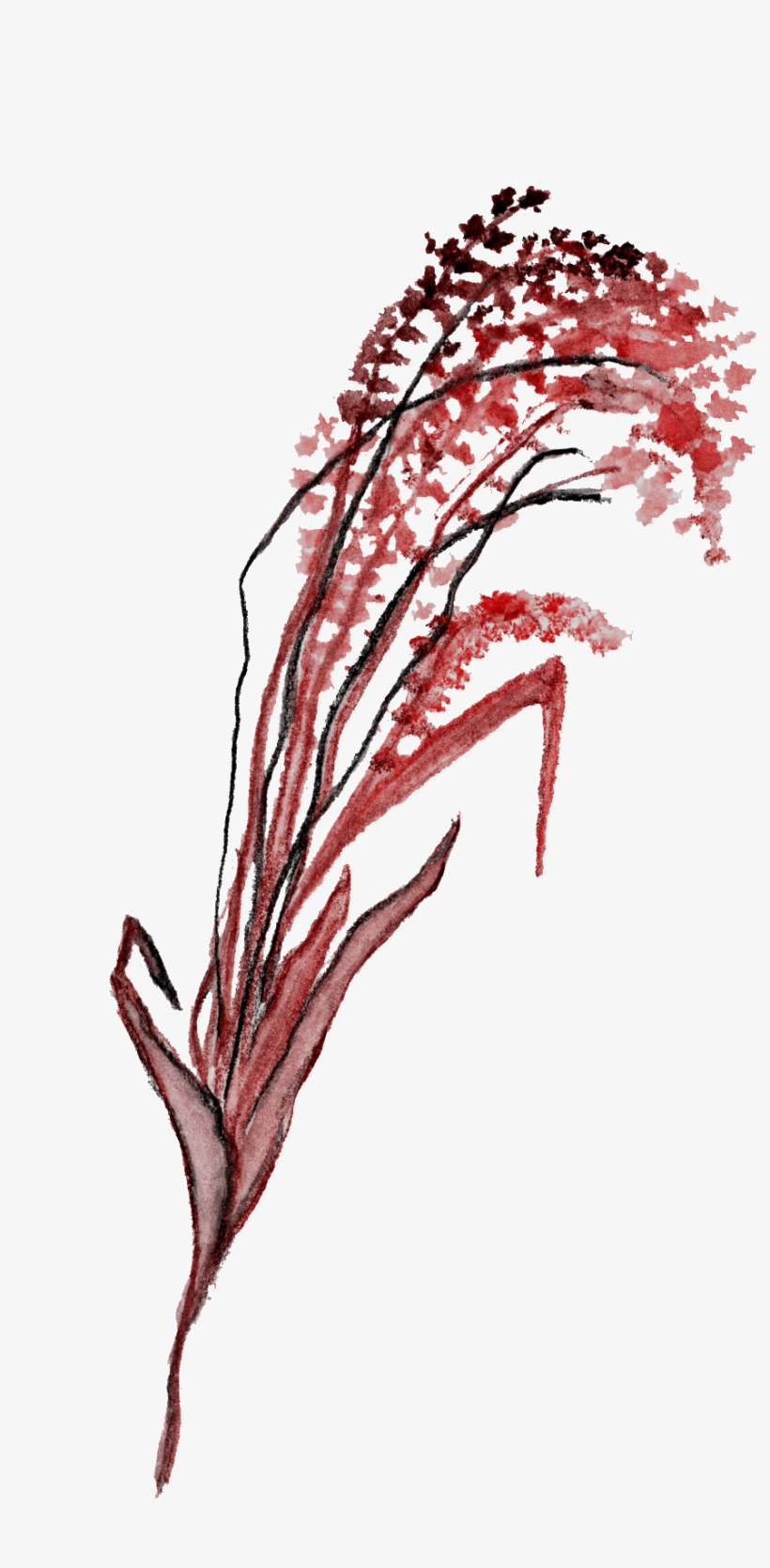 Black Red Flower Branch Transparent Decorative, transparent png download