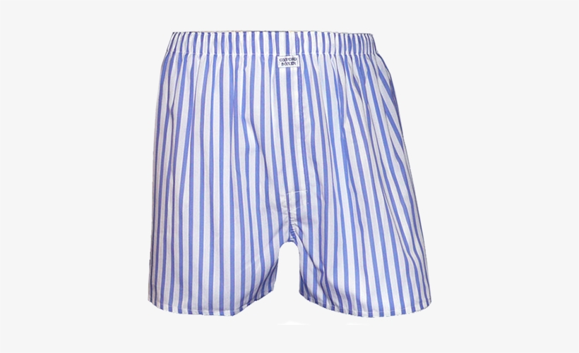 Example Of Boxer Shorts Waistband - Blue And White Striped Boxers, transparent png download