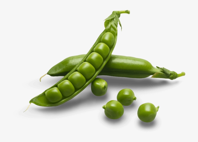 Green Pea, transparent png download