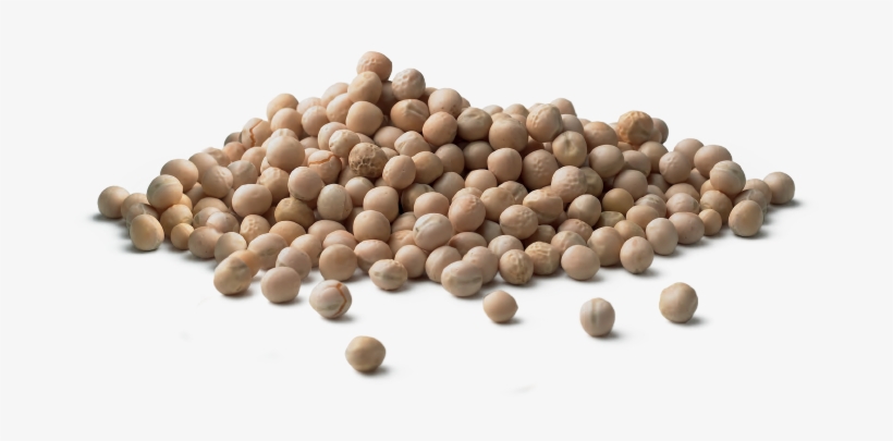 Why Dry Peas - Green Pea, transparent png download