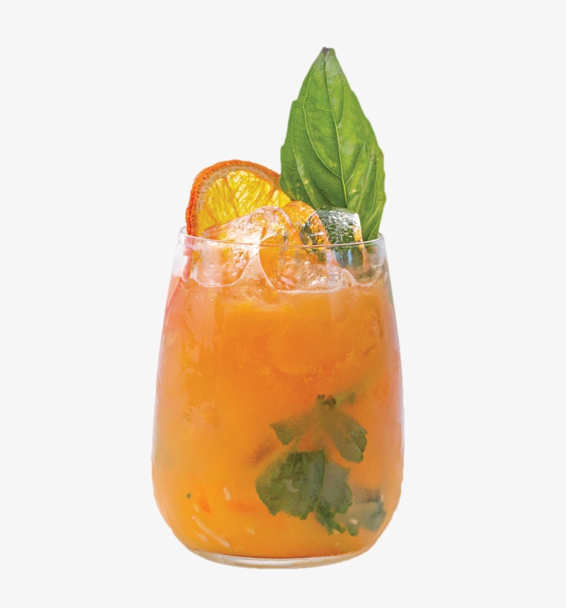 Garden Punch - Garden, transparent png download