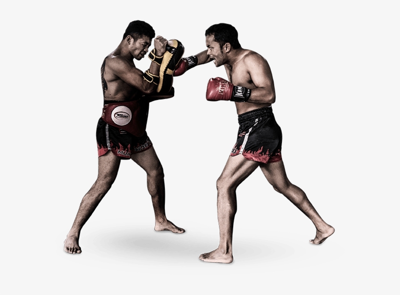 The World Class Boxing Program At Evolve Mma Is Led - Thai Boxing, transparent png download