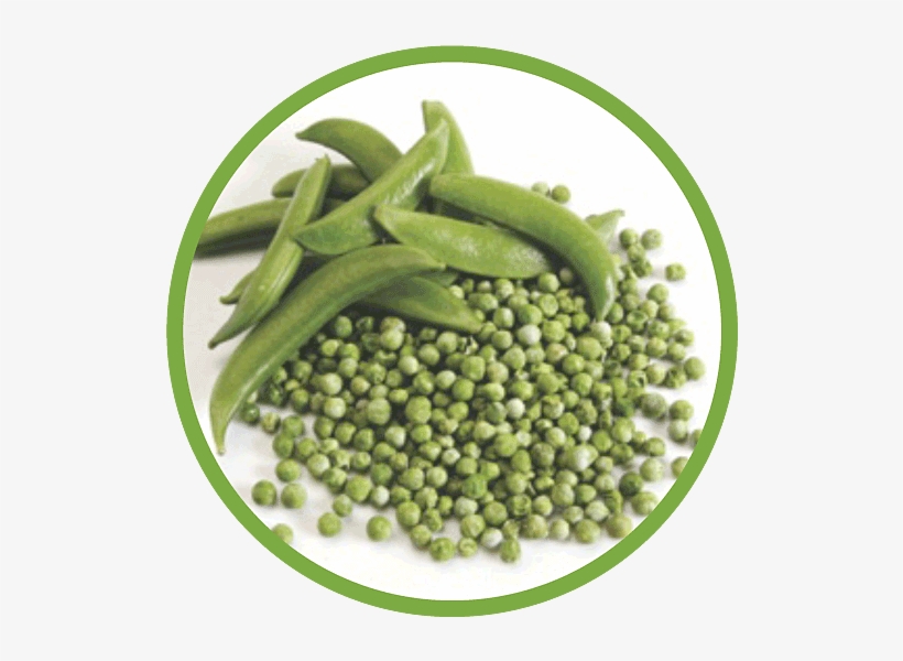 Peas Md Circle, transparent png download