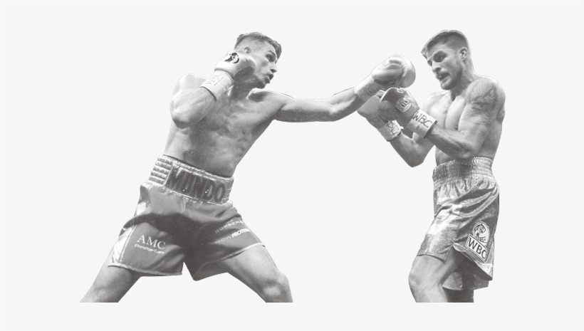 Callum's Story - Professional Boxing, transparent png download