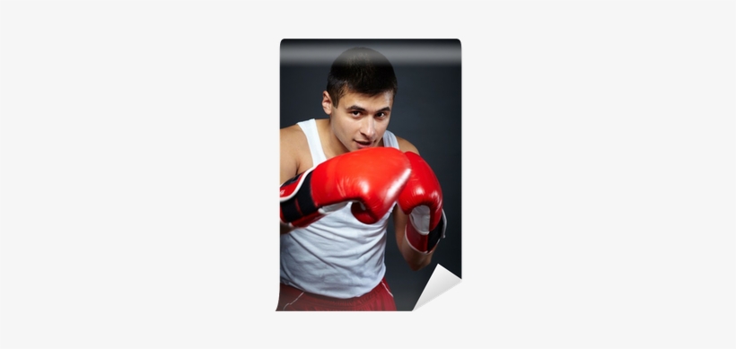 Boxing, transparent png download