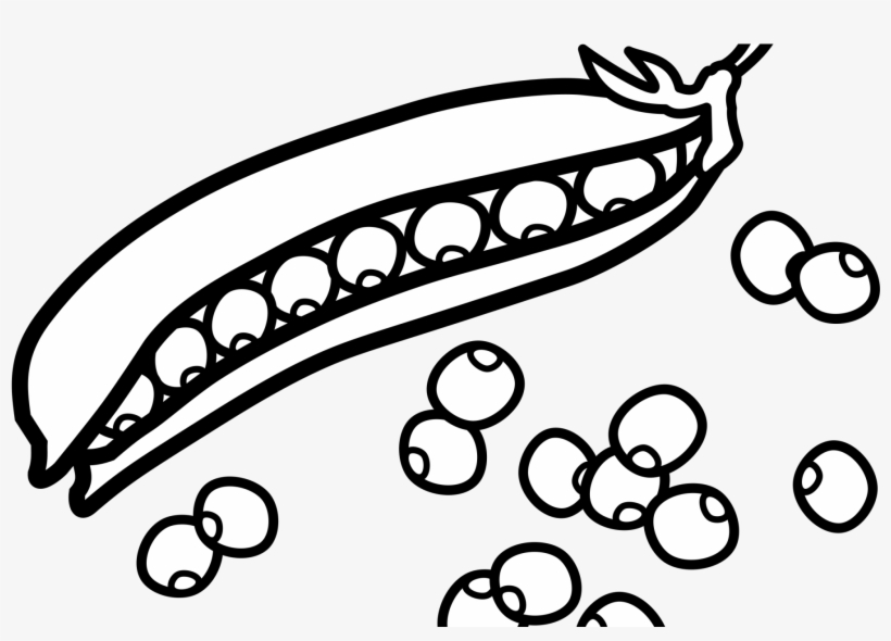 Pea Clipart Pod Template - Pea Clipart, transparent png download