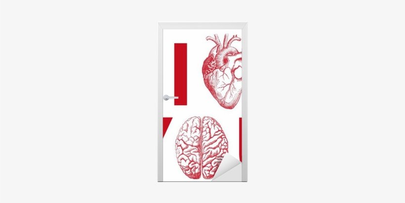 I Heart You, With Realistic Heart And Brain, Vector - C3rv34u [book], transparent png download