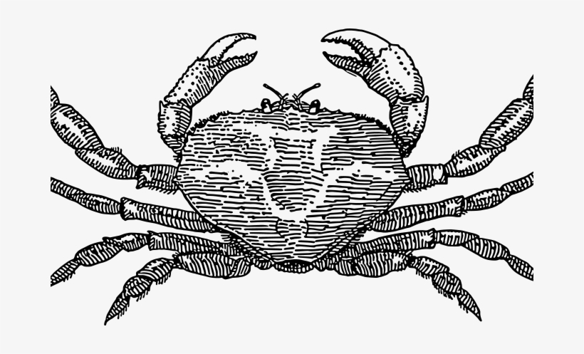 Crab Images Free Crab Free Vector 4vector Elephant - Crab Silhouette, transparent png download