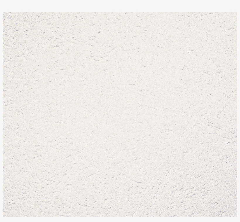 Downy Duckling 0537t - Concrete, transparent png download