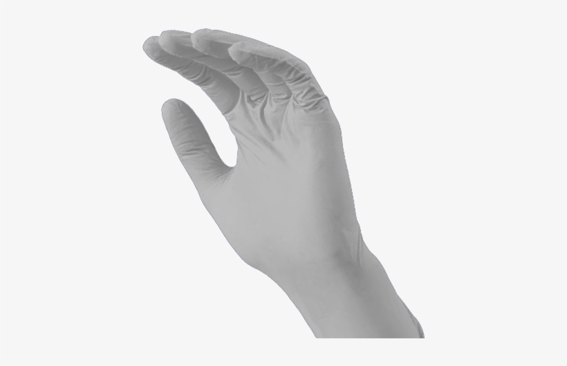 Nitril Gloves, White, Powder-free, Unsterile, Xl / - Glove, transparent png download