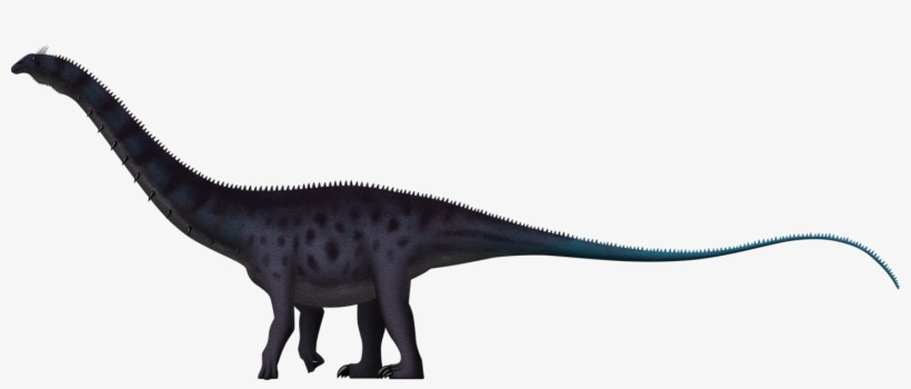 Apatosaurus Ajax By Spinoinwonderland - Apatosaurus Transparent, transparent png download