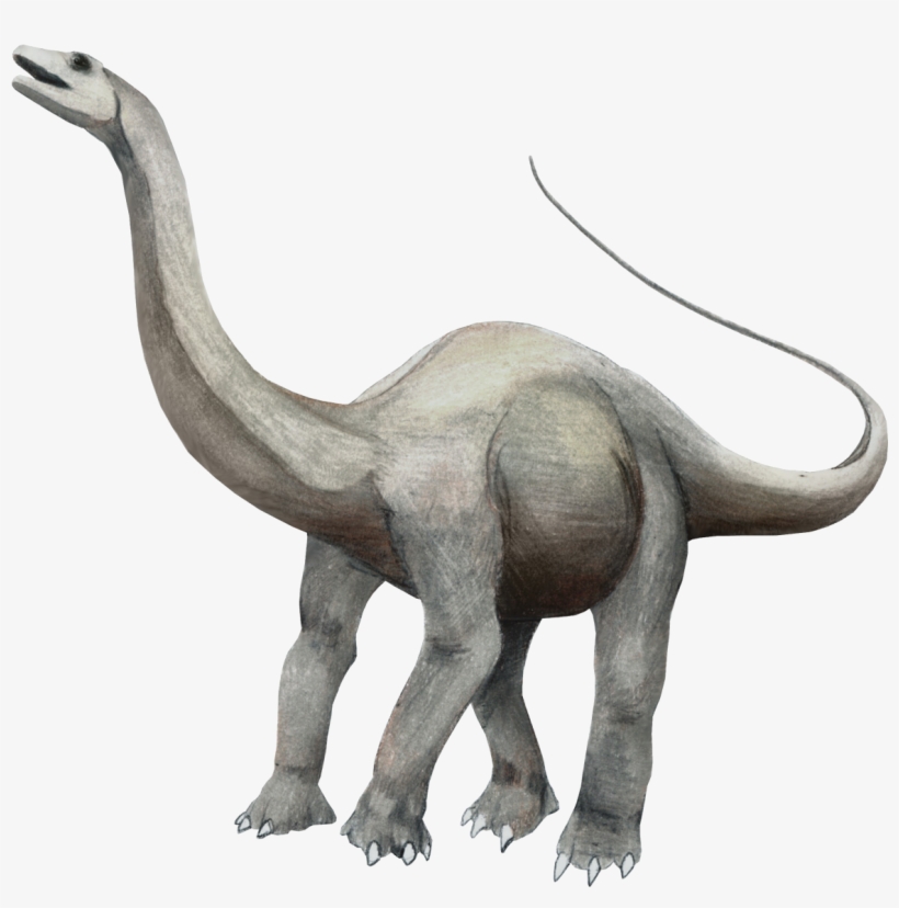 Apatosaurus Lecire - Jurassic Dinosaurs, transparent png download