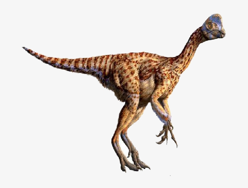 Dinosaurus: The Complete Guide To Dinosaurs, transparent png download