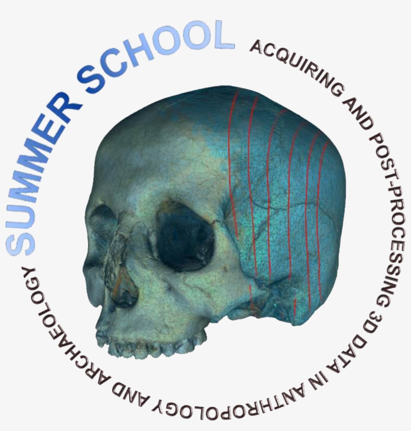 Acquiring And Post-processing 3d Data In Anthropology - Iain Langsa, transparent png download