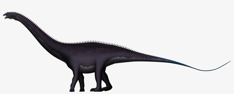 Apatosaurus Ajax By Spinoinwonderland - Brolyeuphyfusion9500 Apatosaurus, transparent png download