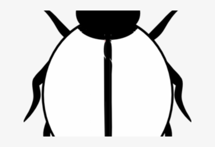 Black And White Ladybug Clipart - Ladybird Black And White, transparent png download
