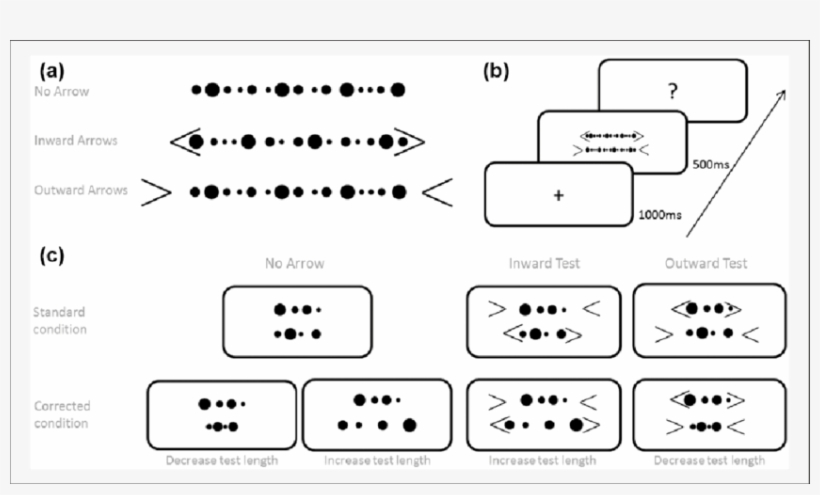 Examples Of Arrays With The Same Length And Composed - Array Data Structure, transparent png download