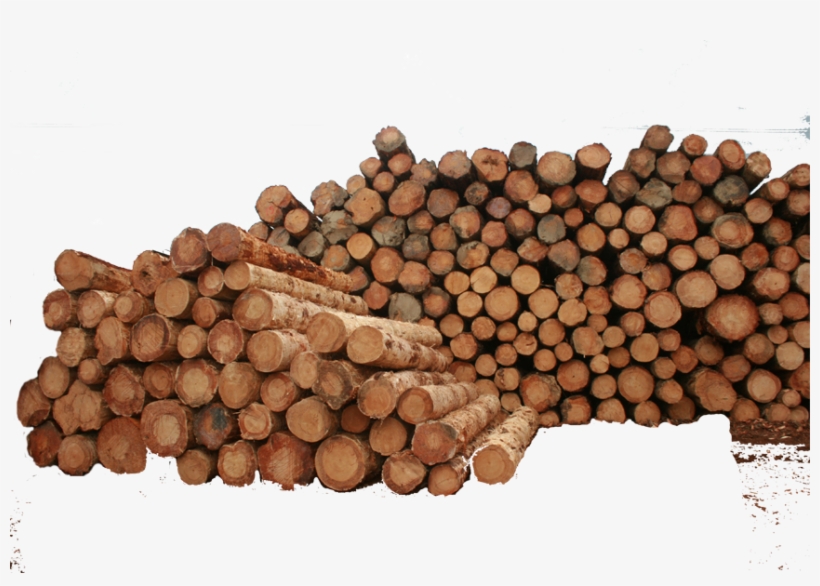 Best Raw Material - Lumber, transparent png download