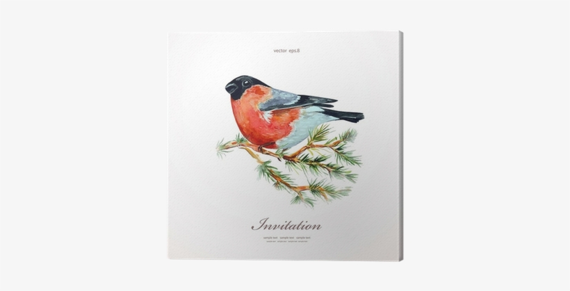 Watercolor Painting Bullfinch On Branch Pine - Gallery Direct Watercolor Painting Of Bullfinch On, transparent png download