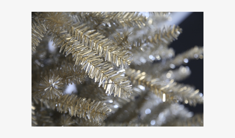 Christmas Tree Champ - Julgran Champ 195cm - Star Trading, transparent png download