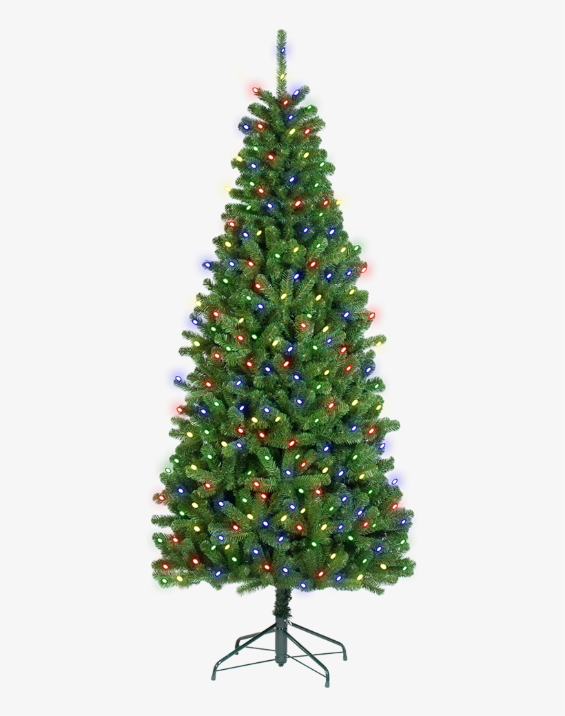 Slim Aberdeen Pine - Holiday Living 6.5 Ft Pre Lit Seneca Pine Artificial, transparent png download