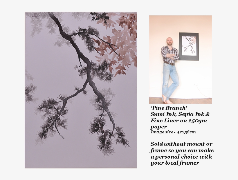 005 Pine Branch Ink Painting Gillies Web - Pond Pine, transparent png download