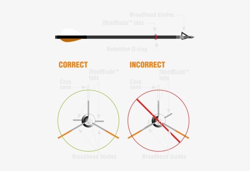 The Cock Vane And The Top Broadhead Blade Should Be - Diagram, transparent png download