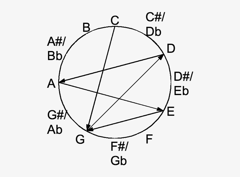 New Standard Tuning In The Chromatic Circle - New Standard Tuning, transparent png download